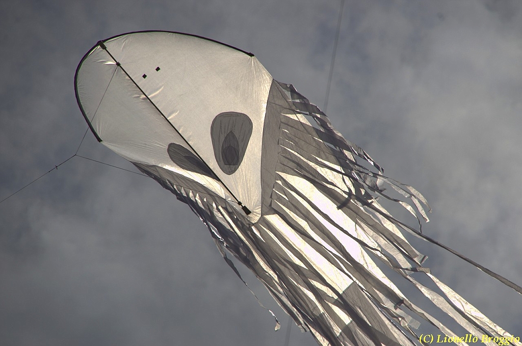 32 FESTIVAL CERVIA 2012 - 328.jpg